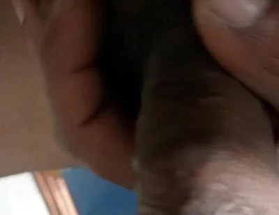 Suck My Dick