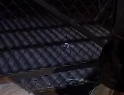 Skinhead Pig Fucked