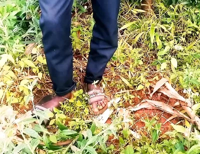 Hello Dear