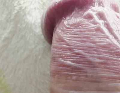 My Dick on Macro