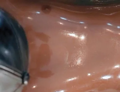 Unit 13 - Vacbed Moanline