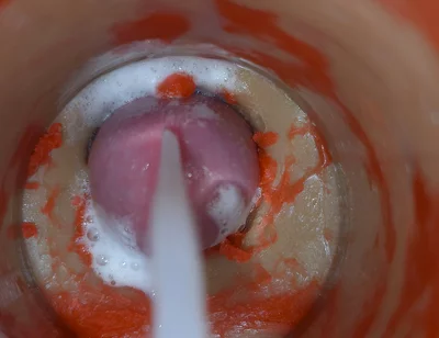 Insemination - Internal Camera Captures Deep Male Ejaculation