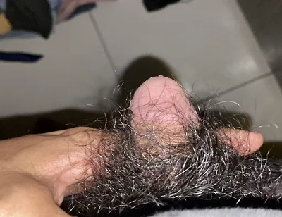 I Masturbate in the Afternoon