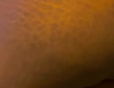 Big Black Ass