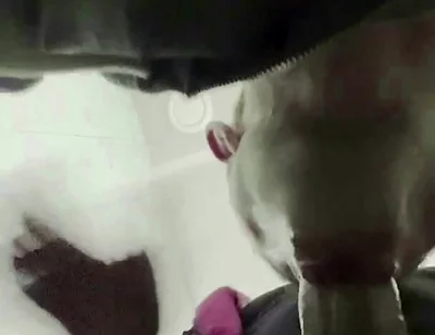 The Teacher's Thick Sucks in a Public Toilet. Slaps for a Student