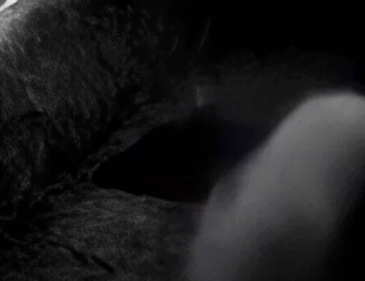 Hump Masturbation Black and White with the First Real Webcam in 1996