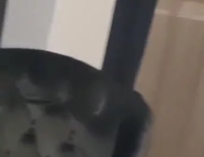 Blessed fucked raw by Casio