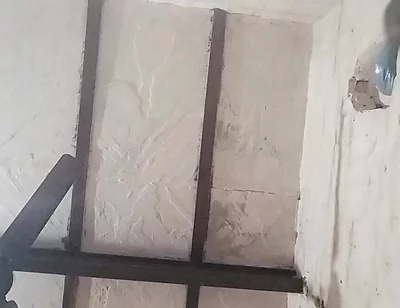 Big Indian Cock
